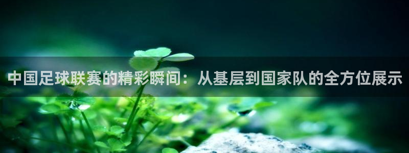  中国足球联赛的精彩瞬间：从基层到国家队的全方位展示
