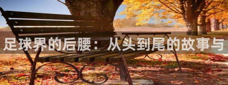 足球界的后腰：从头到尾的故事与