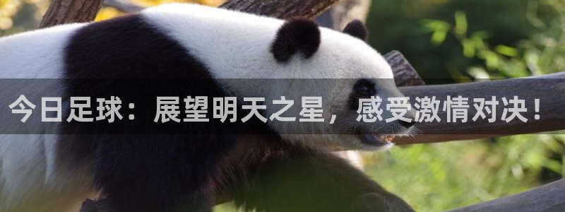 今日足球：展望明天之星，感受激情对决！