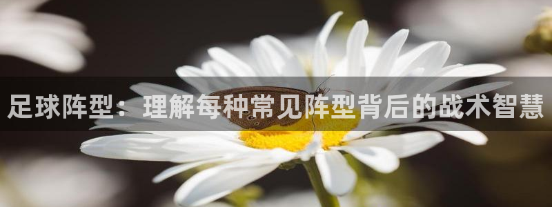 足球阵型：理解每种常见阵型背后的战术智慧