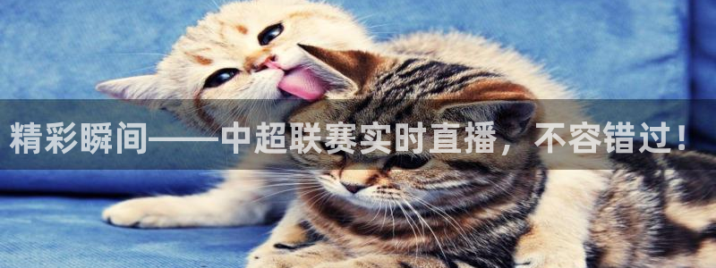 精彩瞬间——中超联赛实时直播，不容错过！