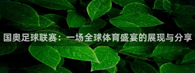  国奥足球联赛：一场全球体育盛宴的展现与分享
