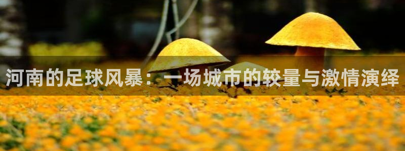  河南的足球风暴：一场城市的较量与激情演绎