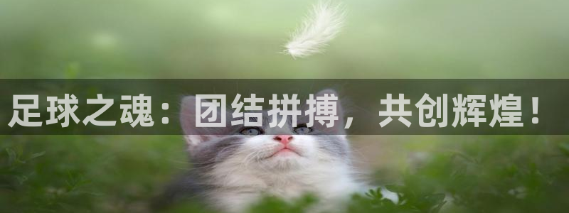 足球之魂：团结拼搏，共创辉煌！