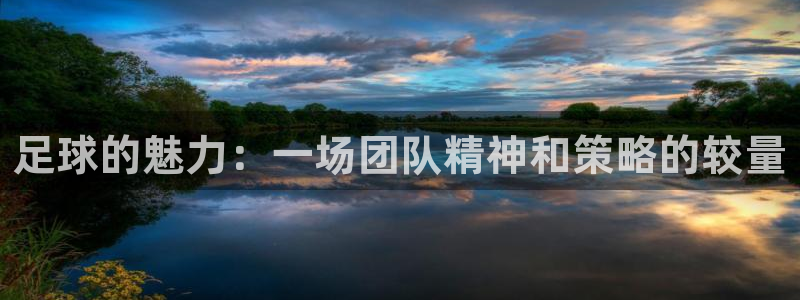 足球的魅力：一场团队精神和策略的较量