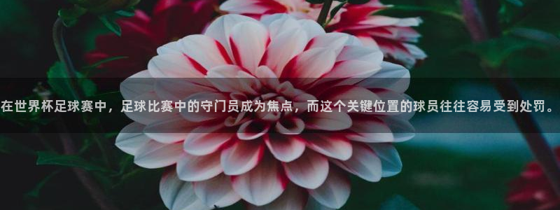 在世界杯足球赛中，足球比赛中的守门员成为焦点，而这个关键位置