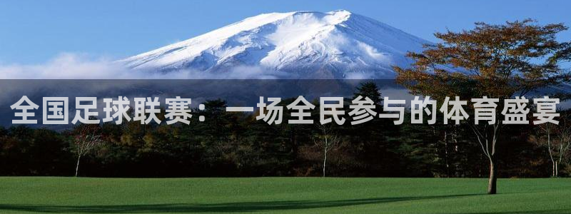  全国足球联赛：一场全民参与的体育盛宴