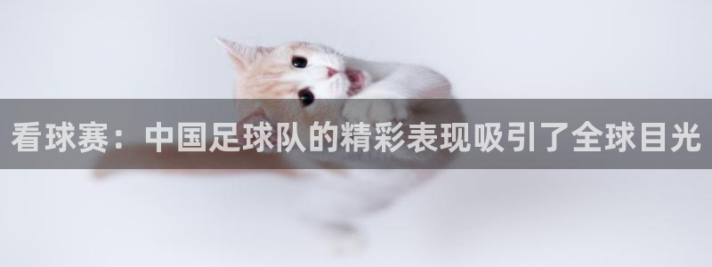  看球赛：中国足球队的精彩表现吸引了全球目光