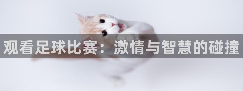  观看足球比赛：激情与智慧的碰撞