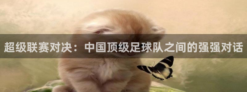  超级联赛对决：中国顶级足球队之间的强强对话