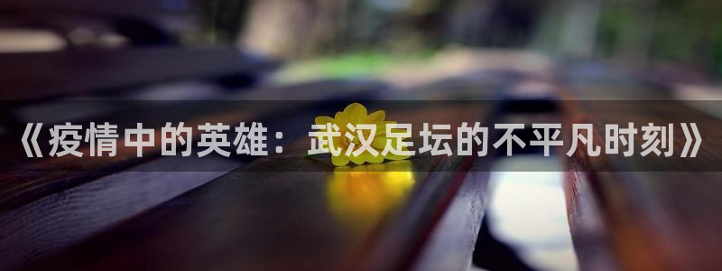 《疫情中的英雄：武汉足坛的不平凡时刻》