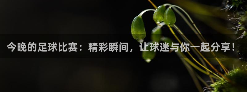 今晚的足球比赛：精彩瞬间，让球迷与你
