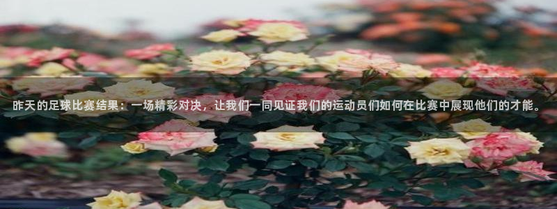 昨天的足球比赛结果：一场精彩对决，让