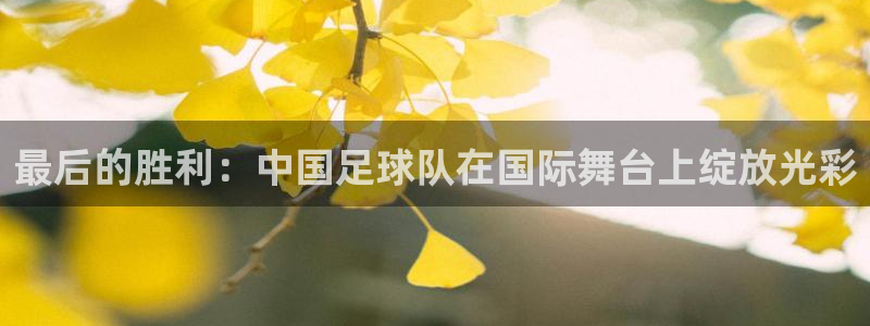 最后的胜利：中国足球队在国际舞台上绽