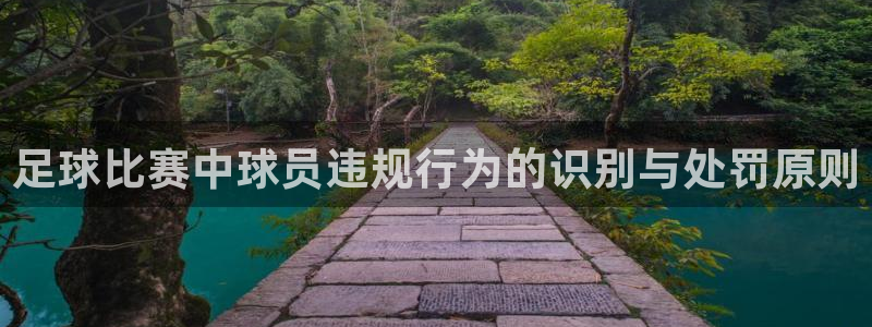 足球比赛中球员违规行为的识别与处罚原