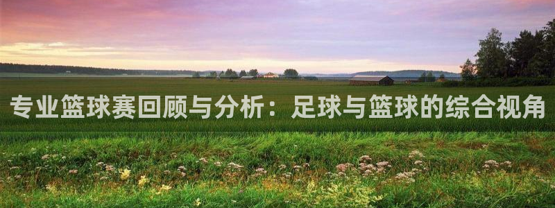 专业篮球赛回顾与分析：足球与篮球的综