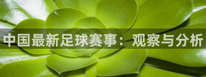 中国最新足球赛事：观察与分析